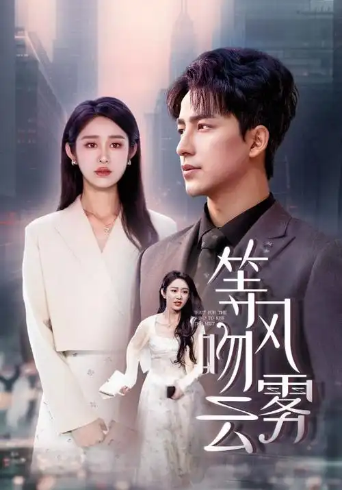 财阀家的小儿子 热播韩剧